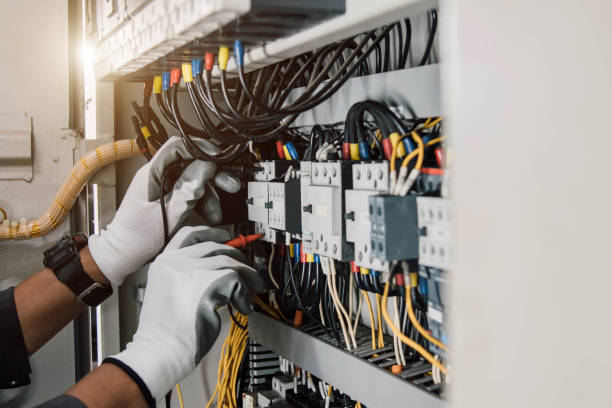 Best Electric Panel Repair  in Gardnerville Ranchos, NV
